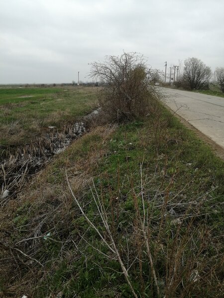 Marsa, jud. Giurgiu,